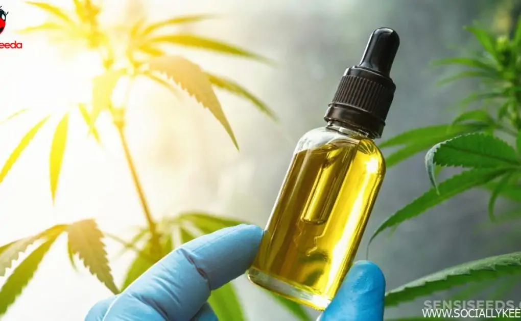 What Is Opioid Treatment Program?