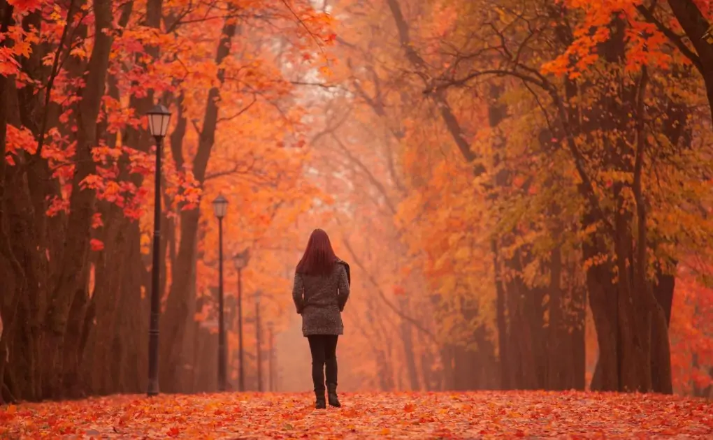 Lonely & Single? Beating the Nobody’s Girl Blues!