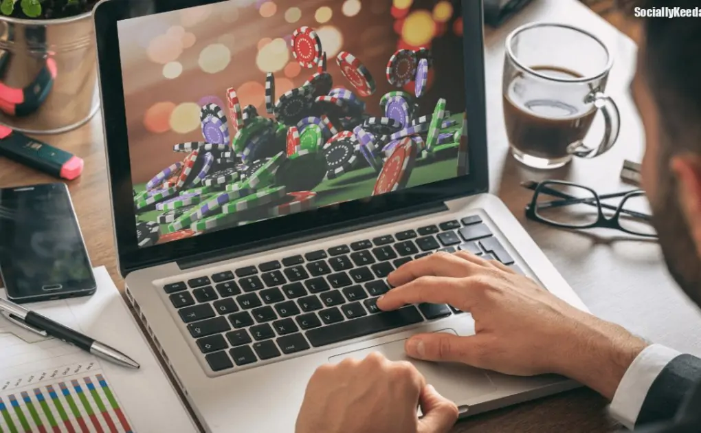 Why do you need to check your website from the toto website?