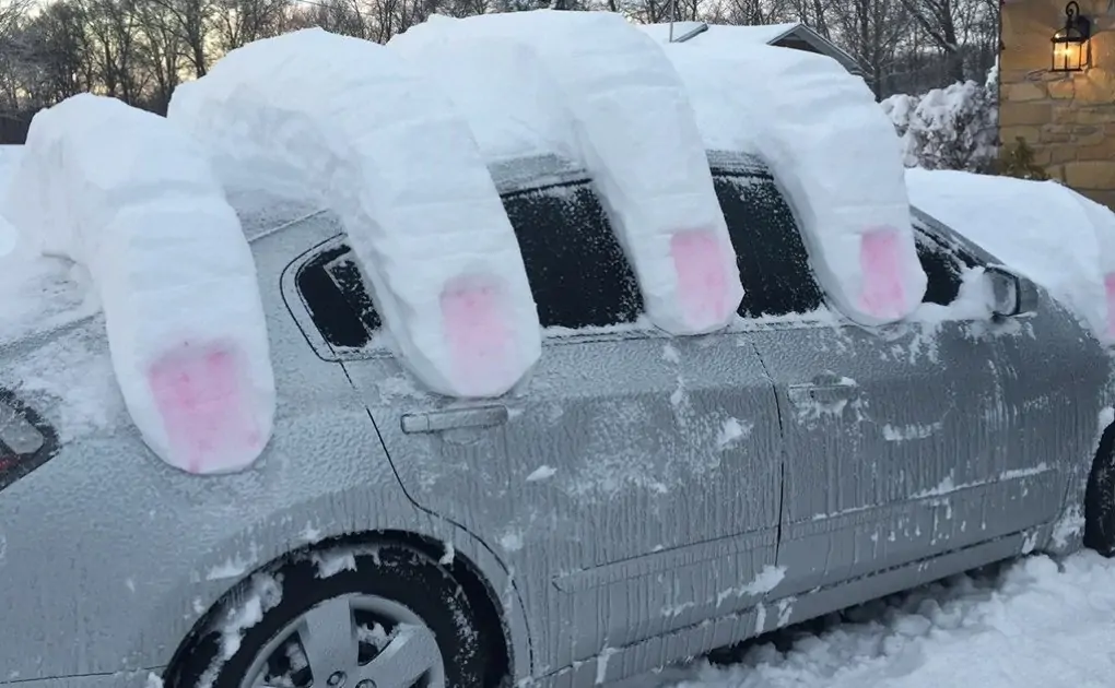 Weekend Morning Awesomeness (40 Photos)
