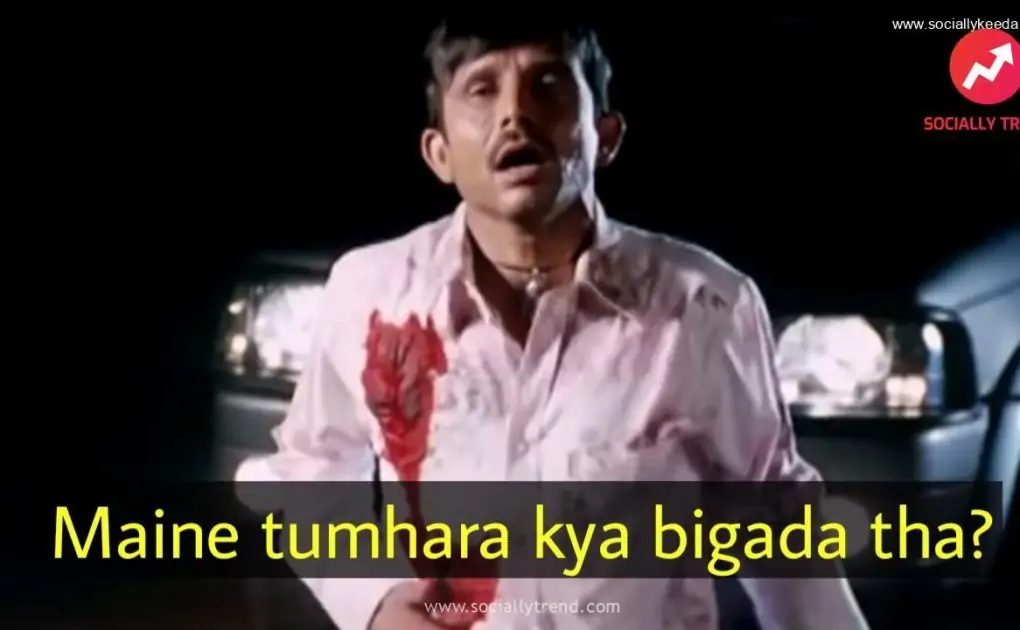 Maine tumhara kya bigada tha