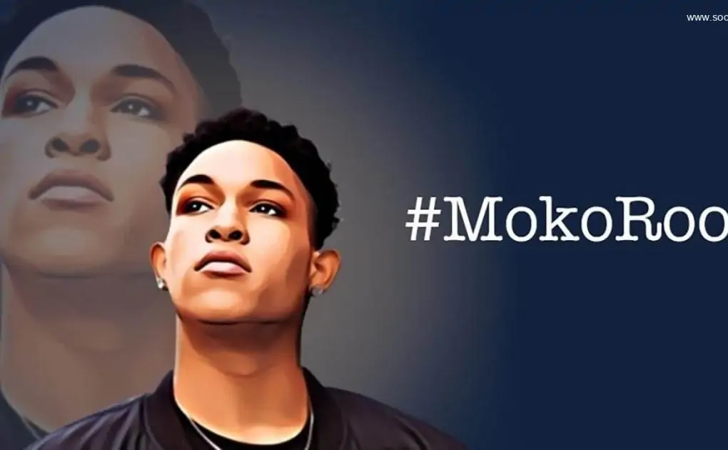 Mokoroom 1.3.4 APK + MOD (VIP Unlocked) Download