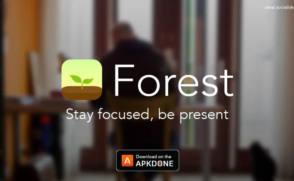 Stay Focused MOD APK 4.52.1 (Premium Unlocked) for Android
