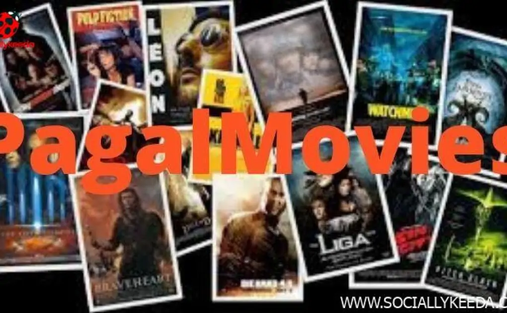 Download HD Bollywood And Hollywood Movies 2023