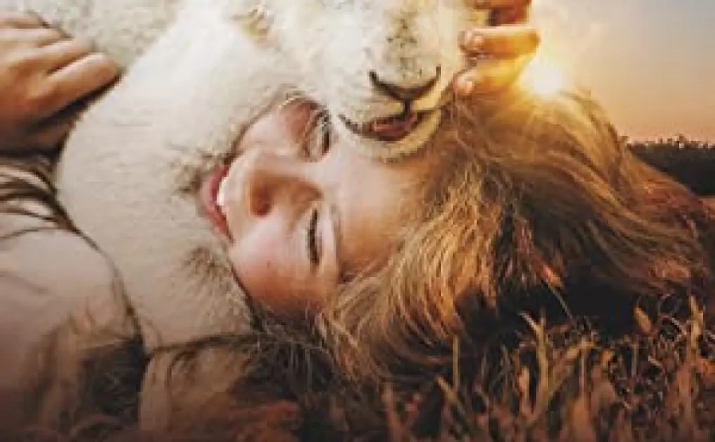 Mia And The White Lion Download, Mia And The White Lion Wiki, Mia And The White Lion 2, Mia And The White Lion Netflix, Mia And The White Lion Full Movie In Hindi Download Filmyzilla, Mia And The White Lion Full Movie, Mia And The White Lion True Story, Mia And The White Lion Hindi Dubbed,