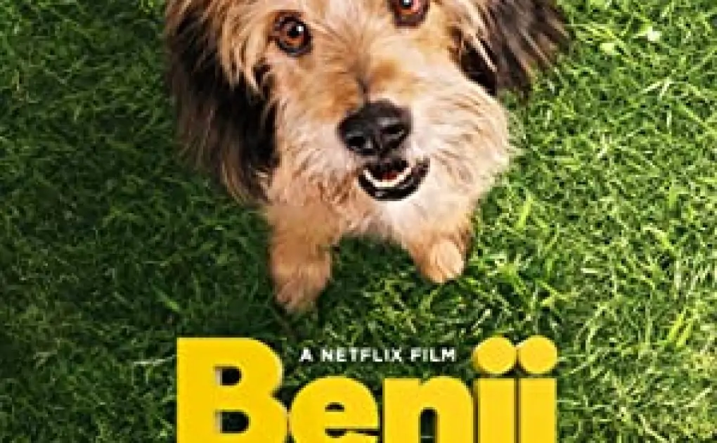 Benji (2018) Dual Audio [Hindi-English] Movie Download | 480p [300MB] | 720p [900MB]