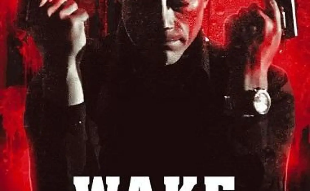 Wake of Death (2004) BluRay Dual Audio [Hindi DD2.0 & English] 720p & 480p x264 HD | Full Movie
