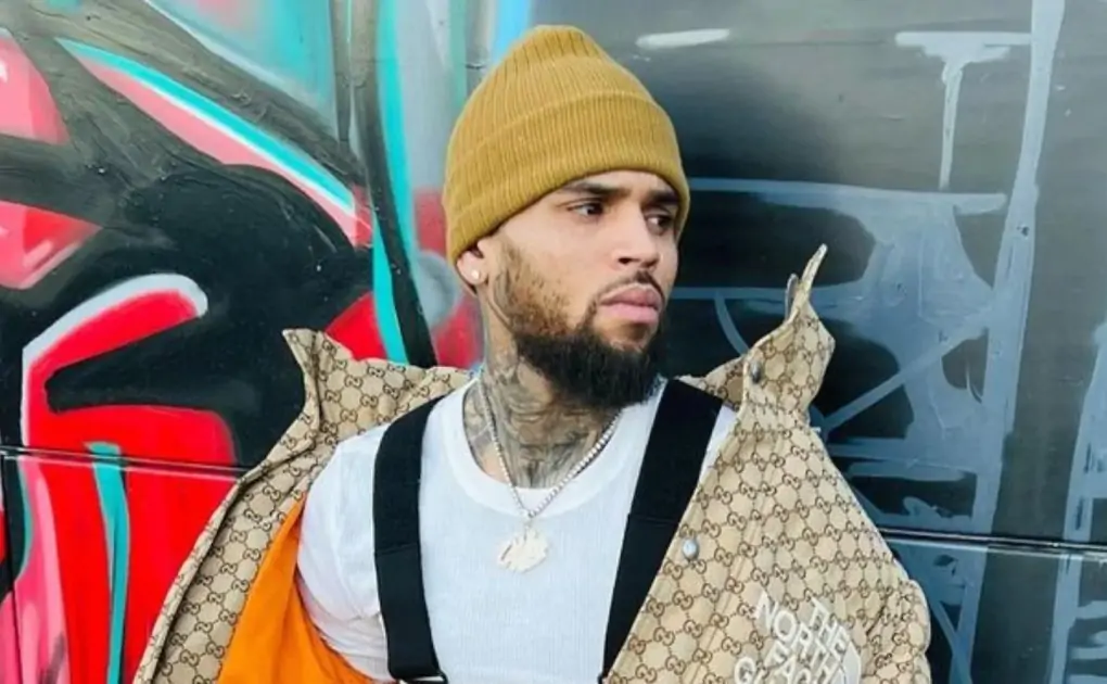 Chris Brown Accused Of Drugging, Raping Woman On Yacht; Musician Reacts