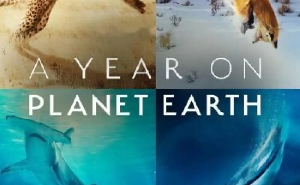 Download A Year on Planet Earth (Season 1) English Web Series 720p