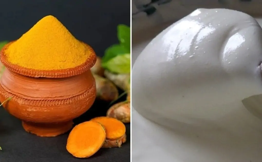 Turmeric to curd; foods to eat post Covid vaccination