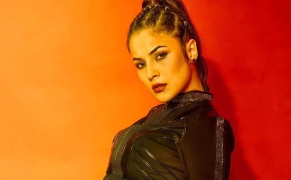 Shehnaaz Gill drops pics of bo*d all-black look for Bigg Boss 15 finale performance: See here