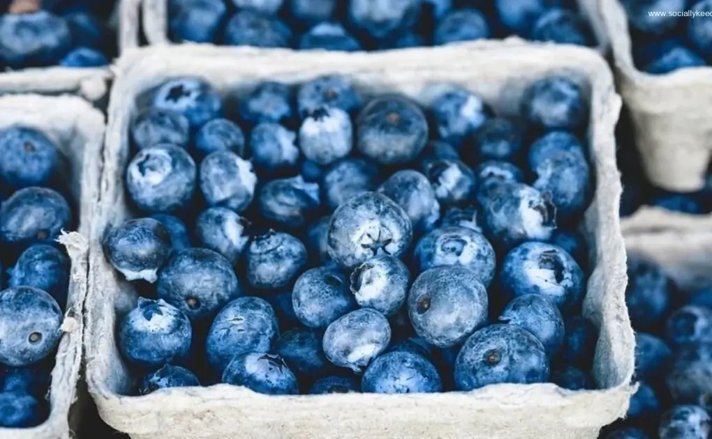 5 incredible benefits of blueberries