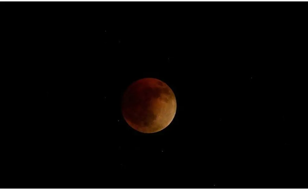 Total Lunar Eclipse 2023: The world watched the blood moon