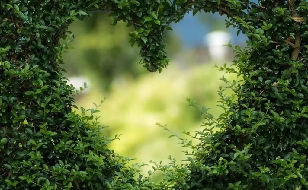 10 ways to show love to people