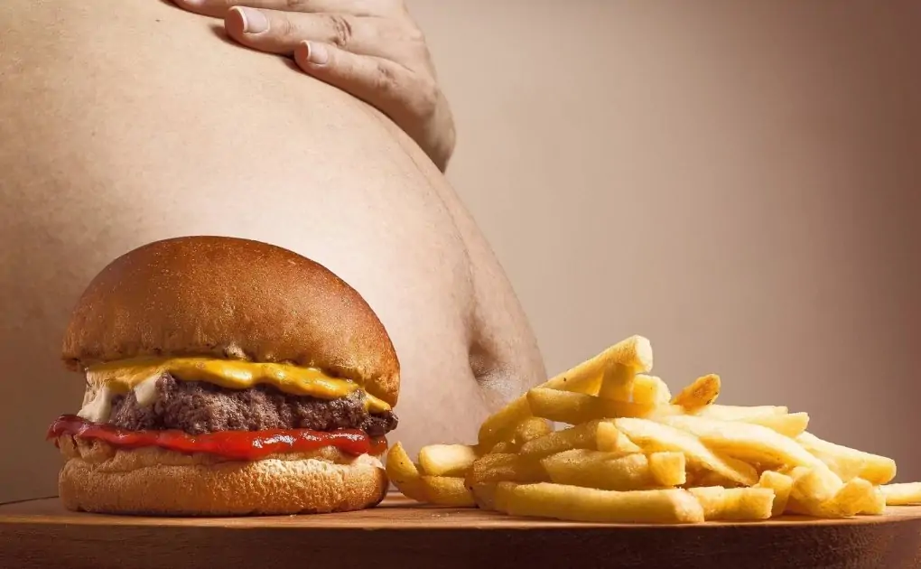 Healthy habits to curb obesity: Lifestyle modifications to stay in top shape