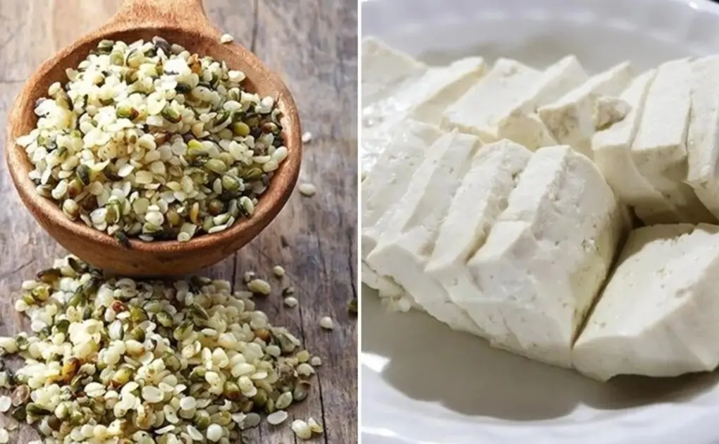 4 plant-based proteins you must add to your diet