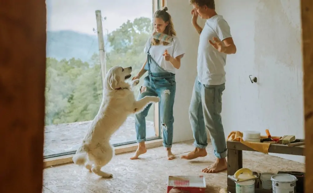 Pet care tips: Here's how to move houses with pets