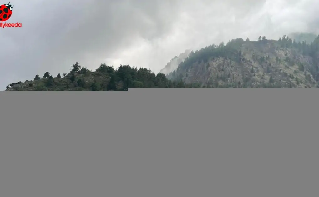 Nepal plane crash: 16 bodies recovered so far, all 22 presumed dead | photos