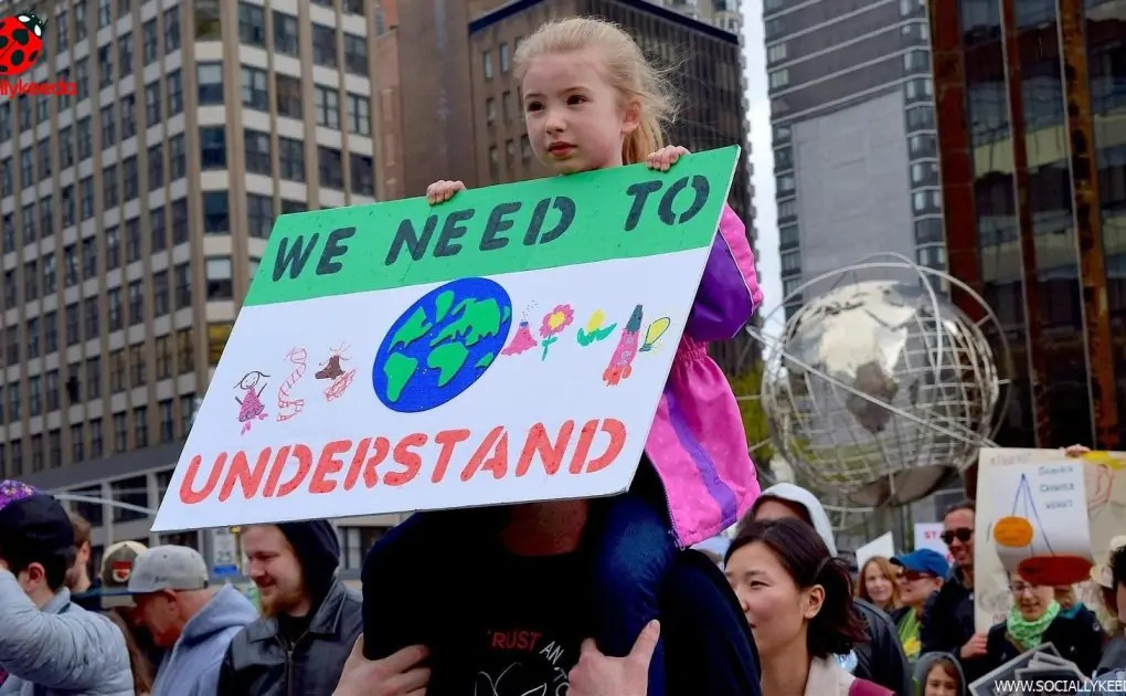 World Environment Day 2023: 7 best ways to reduce pollution in Indian cities