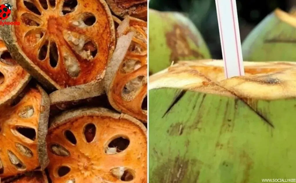 5 healthy summer foods for your toddler