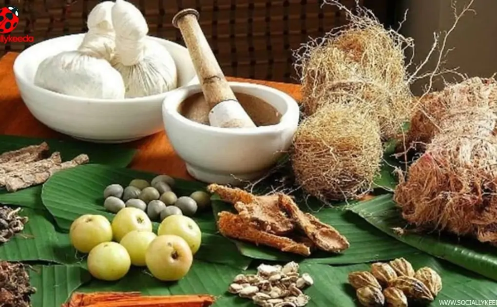 Ayurvedic herbs to keep kidney diseases at bay