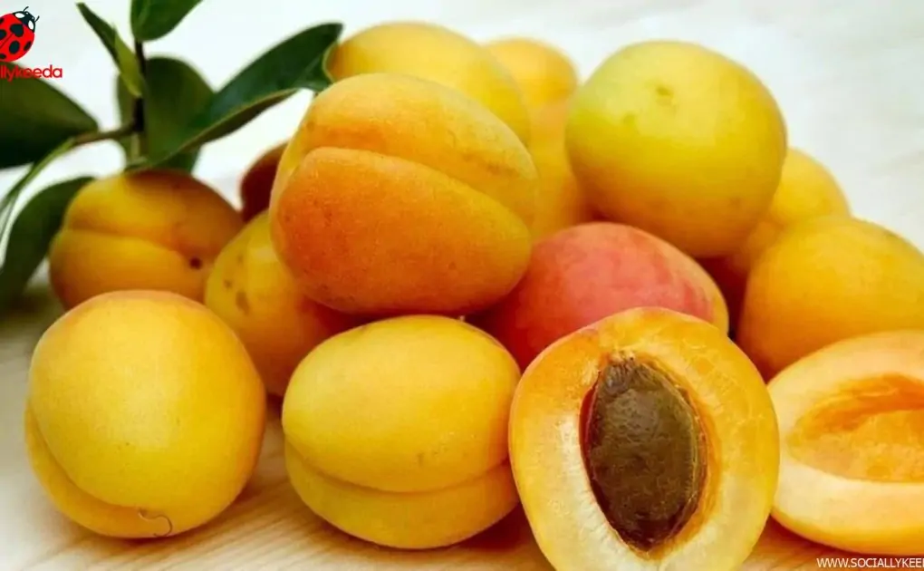 Why you should add apricots to your diet
