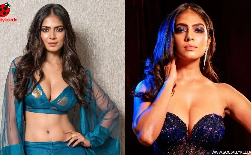 50+ Malavika Mohanan Hot, Sexy and Bikini HD Images