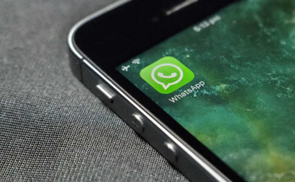 Apprehensive about WhatsApp? A take a look at the three well-liked alternate options for messaging