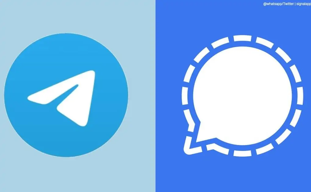 Signal, Telegram: How to stop getting new friends joined alerts