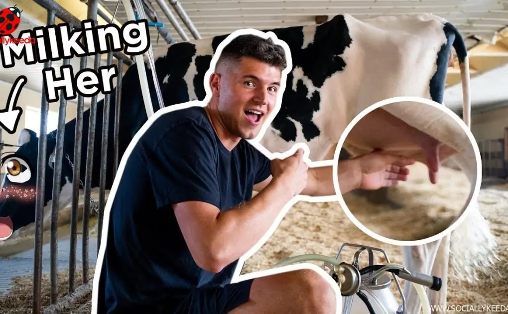 Easy, Homemade Yogurt