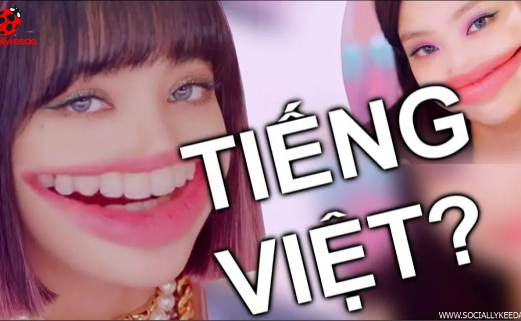 ICE CREAM nhưng đó là bản TIẾNG VIỆT (Cây Kem - Vietsub - Karaoke)