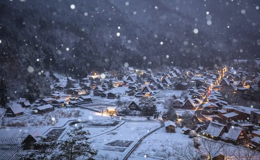 Delicious food, Beautiful Scenery: Explore Central Japan like a Local with the Takayama-Hokuriku Area Tourist Pass! [Part 1]