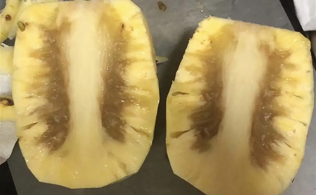 Taiwan apologizes for rotten pineapples, vows to send 12,000 tons more
