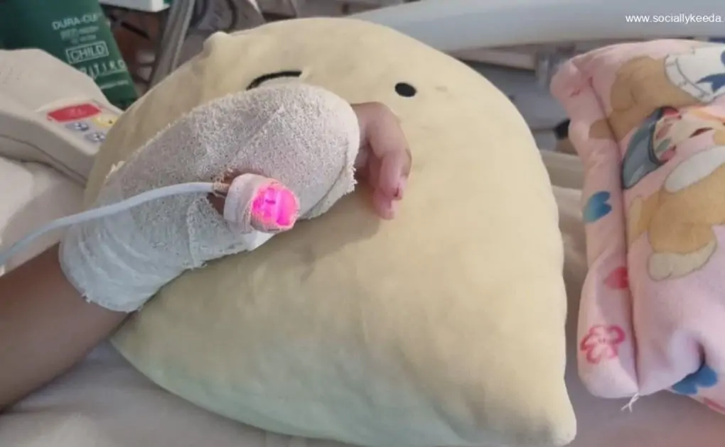 Girl, 5, has part of finger amputated after injuring it while using hand dryer 'without a vent covering' at ION Orchard