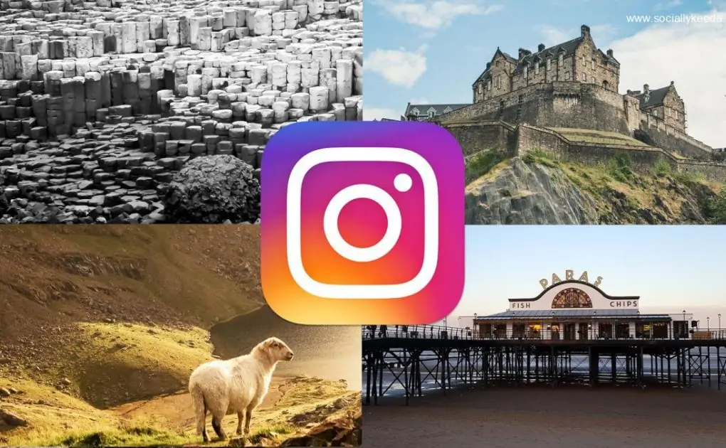 Instagram set to offer three new feed options - so, what's new?