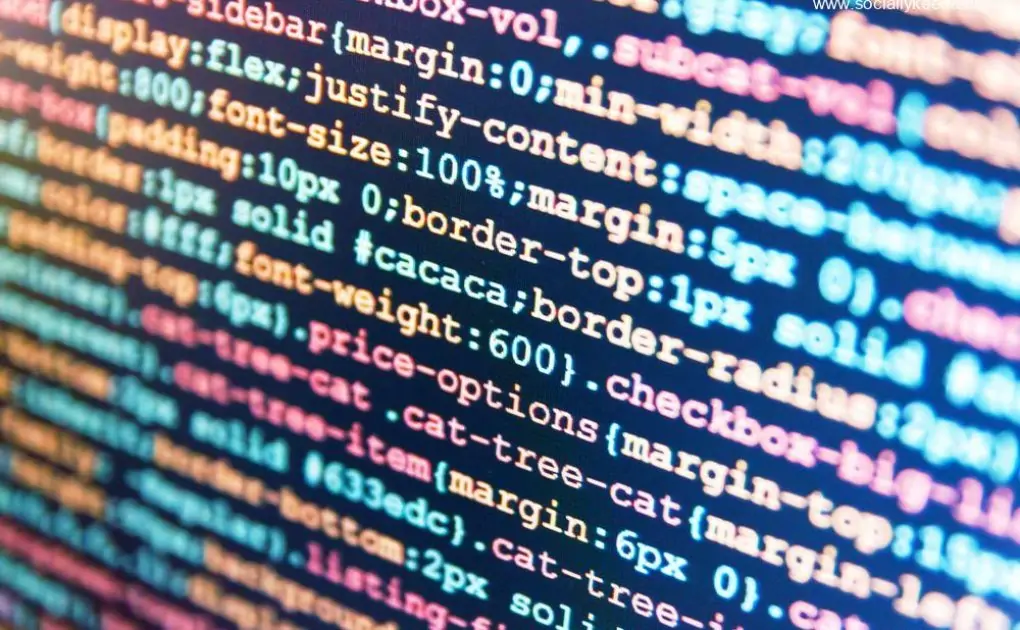 Python custodians apologize for "cursed" start to the year