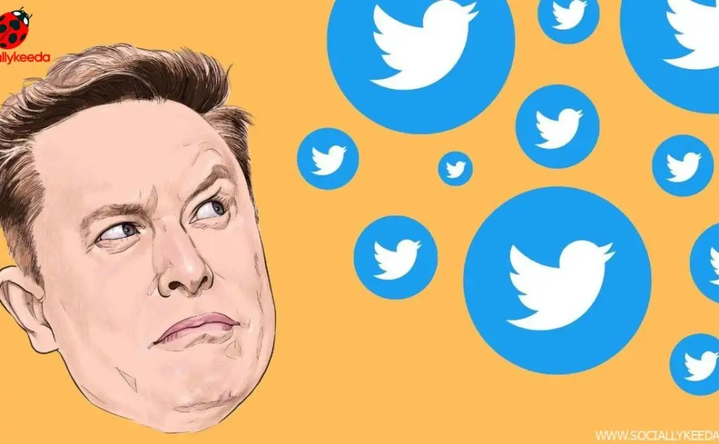 Elon Musk is 'terminating' the Twitter deal
