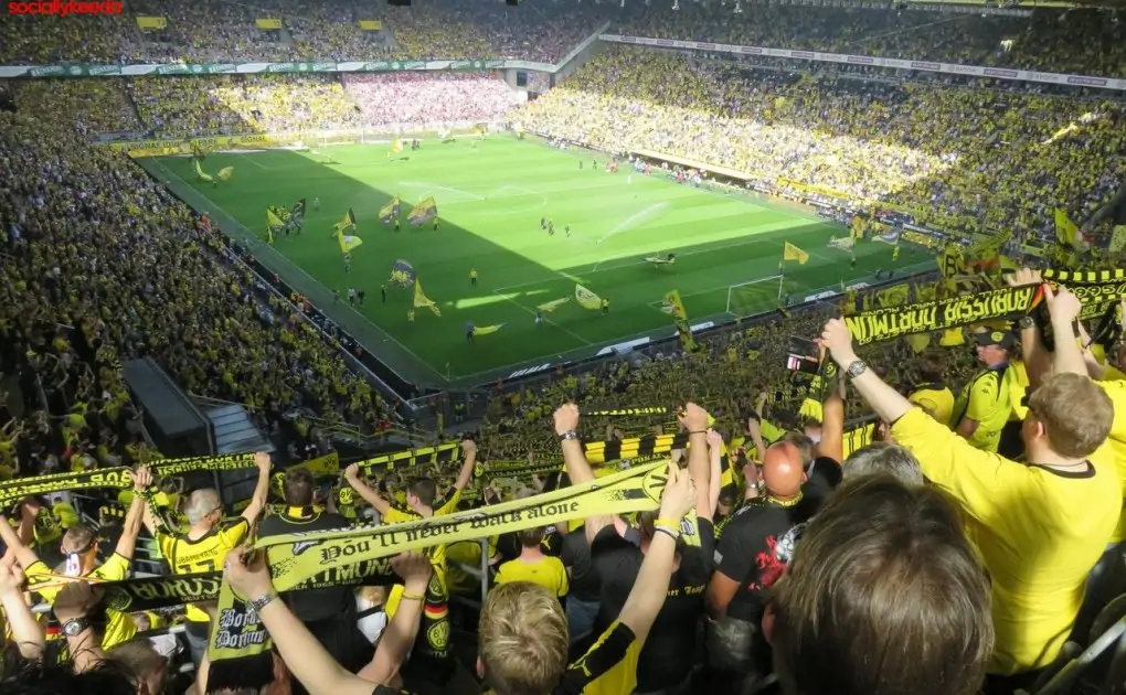 World Cup 2022 Predictions: Favourites, Underdogs , Group Stage Winners