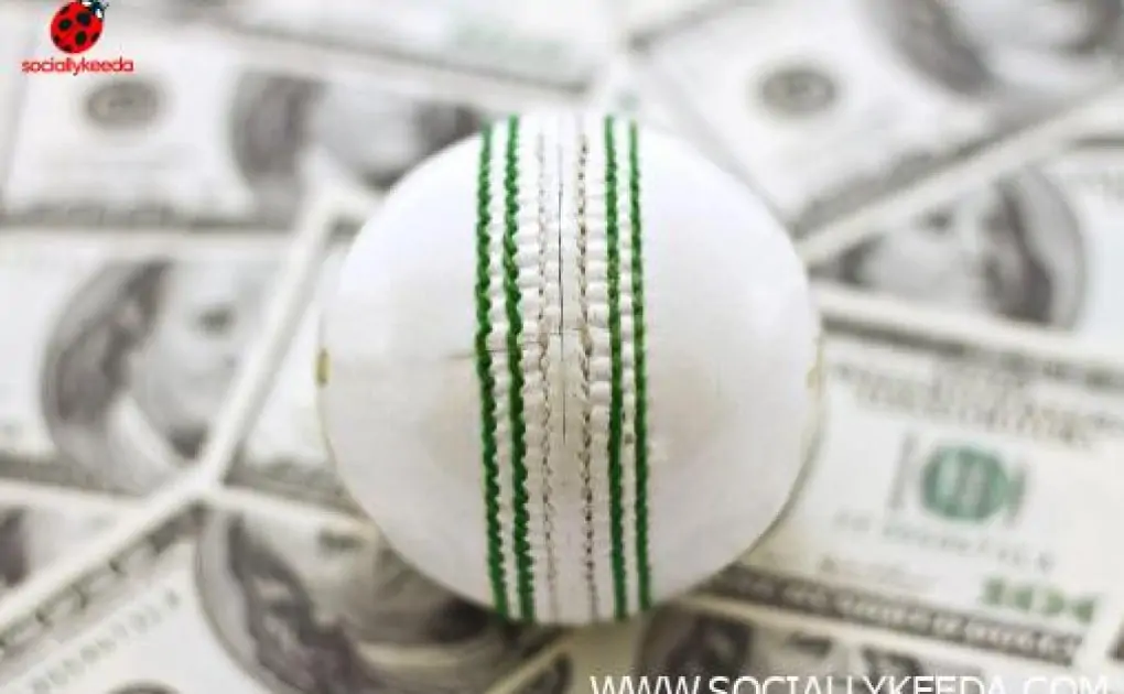 The Best Tips and Strategies to Learn in Cricket Betting