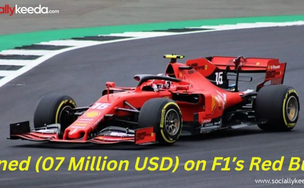 World Greatest Fined (07 Million USD) on F1’s Red Bull- Know All about F1 Price, Speed, Engine Power