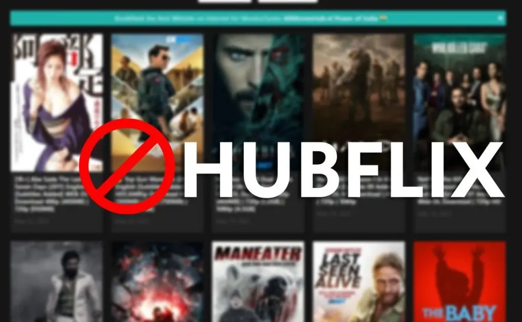 HDMoviesHub  2024 Download Latest Bollywood, Hollywood Dubbed Movies Free