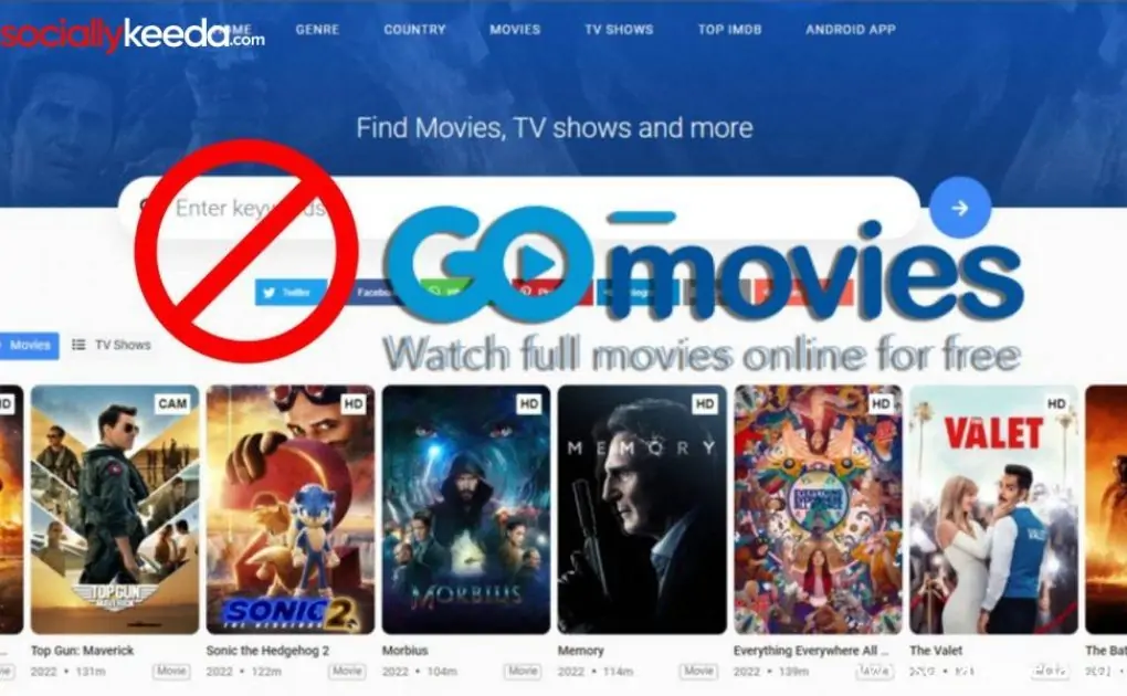 Watch and Download Free Movies, Web Series, TV Shows