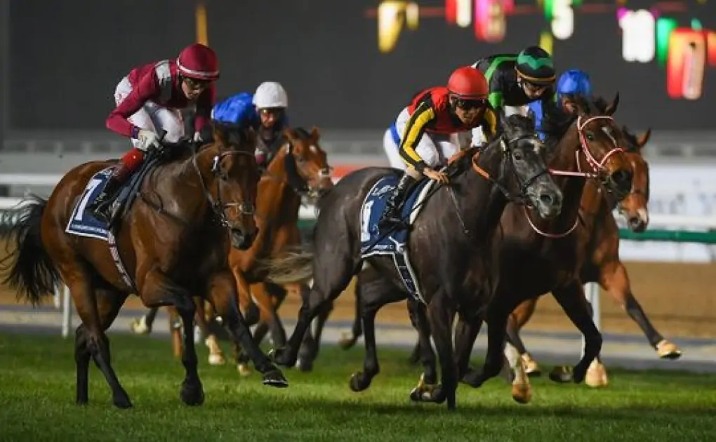 Dubai World Cup 2021: Mishriff picks up another big cheque with Dubai Sheema Classic success