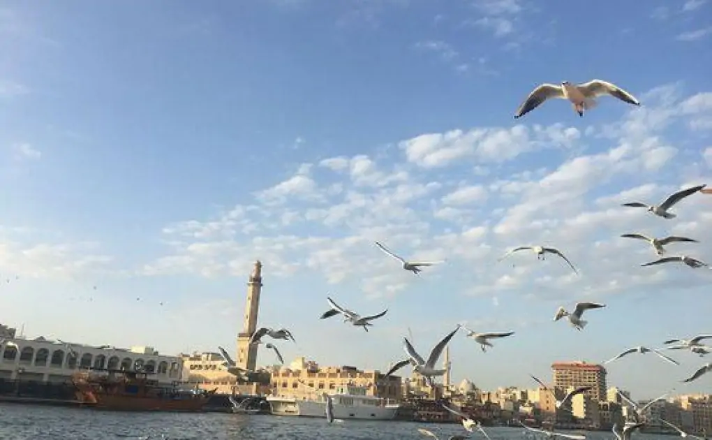 UAE: Today’s weather is partly cloudy and hot in Abu Dhabi, Dubai, Sharjah, and other emirates