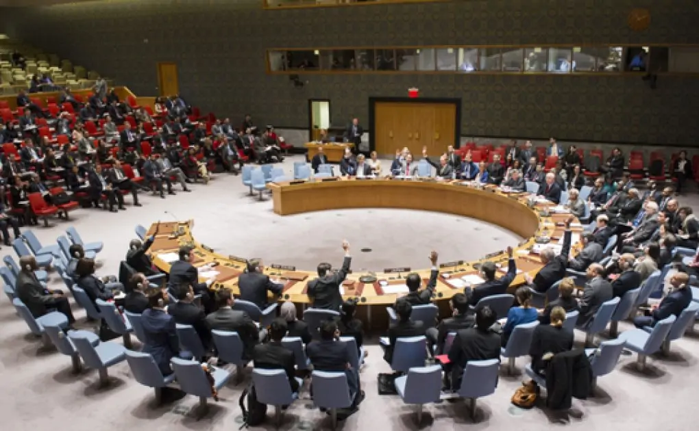 UAE's Security Council seat a recognition of its principled position in facing global challenges