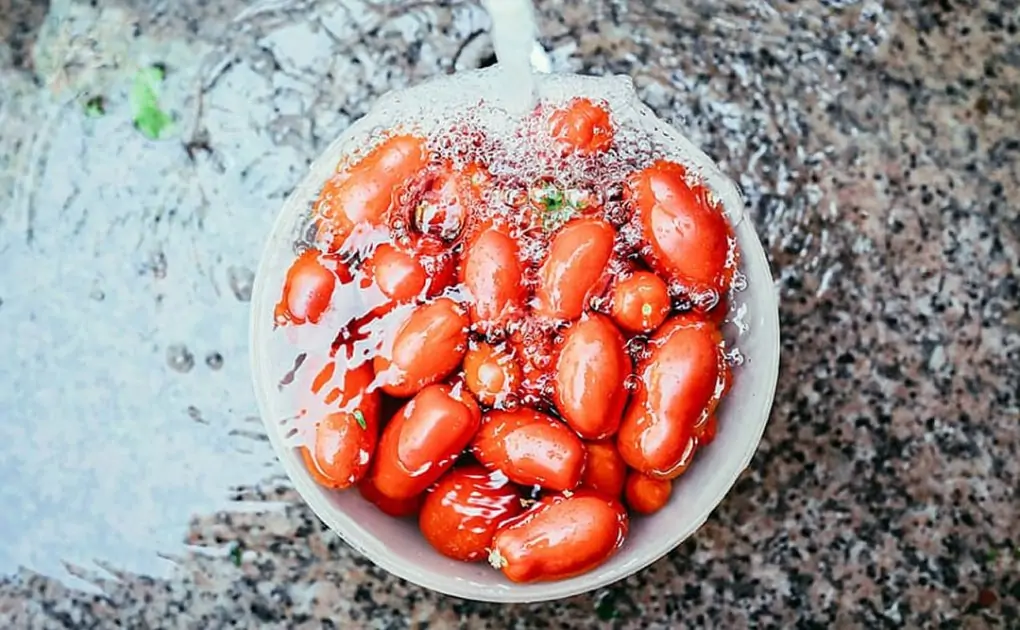 Sustainable Gastronomy Day 2021: United Nations Encourages People To Be Part of 'Sustainable Food Movement' (See Tweet)