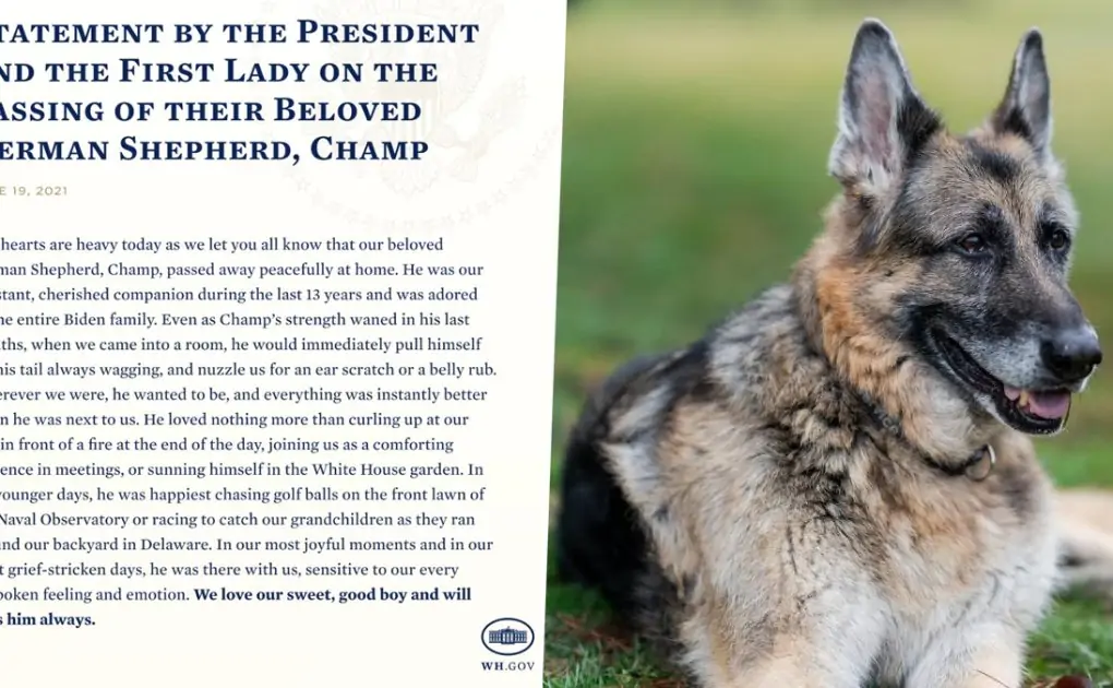 US President Joe Biden And First Lady Mourn Death of Family Dog, Champ, Share Heartbreaking Post on Twitter