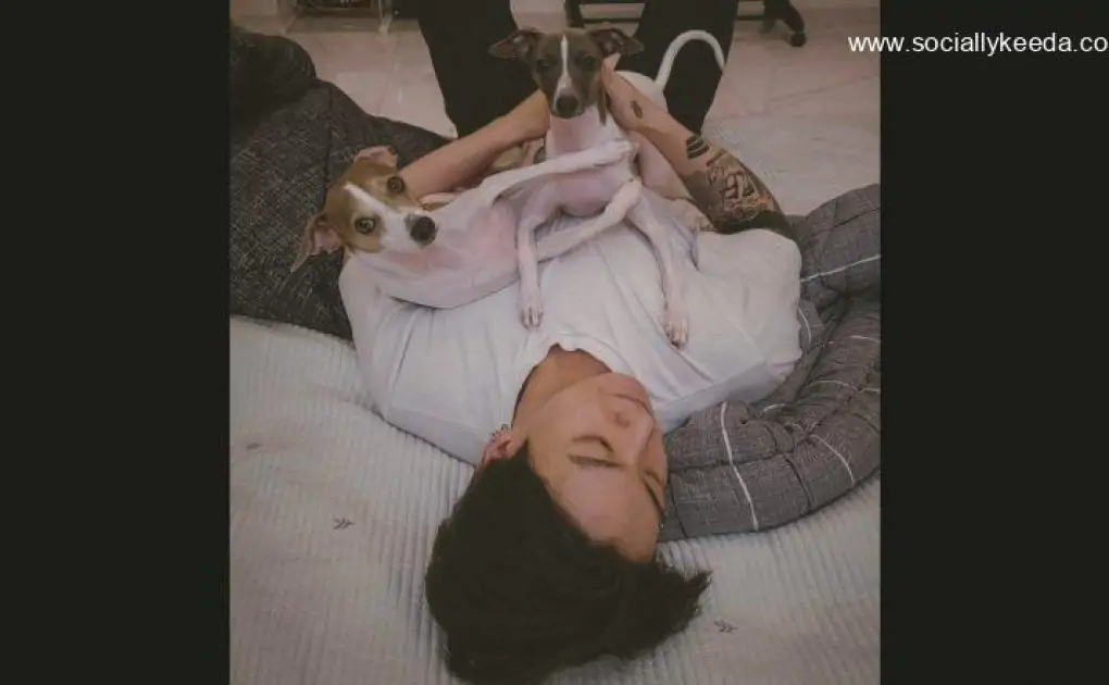 BTS’ Jungkook Trends After Sharing an Adorable Picture of Him Playing With His Two Pet Pups!