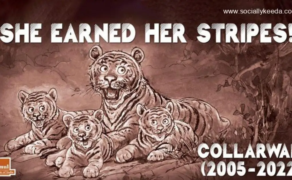 Amul Comes Up With Topical to Pay Tribute to Tigress Collarwali