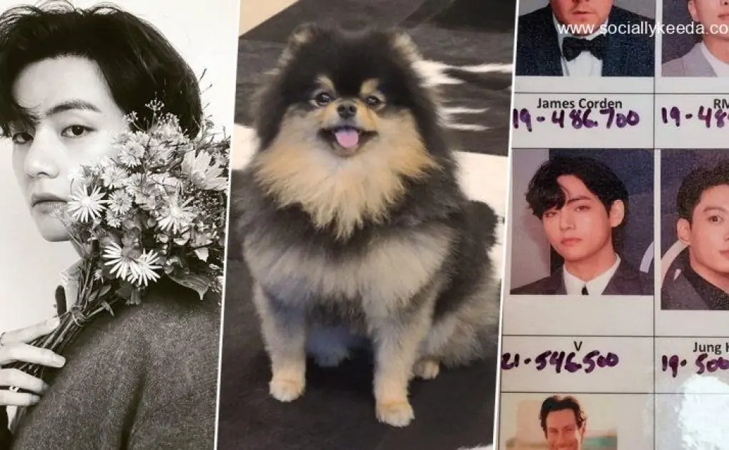 BTS V aka Kim Taehyung NEW Instagram Records: First Asian Celebrity to Have 4 IG Posts Crossing 17 Million Likes!